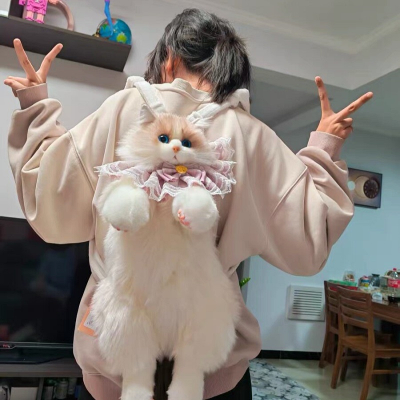 2026 New In Stock Ragdoll Cat  - Travel Accessories Ideas ulasan dan harga