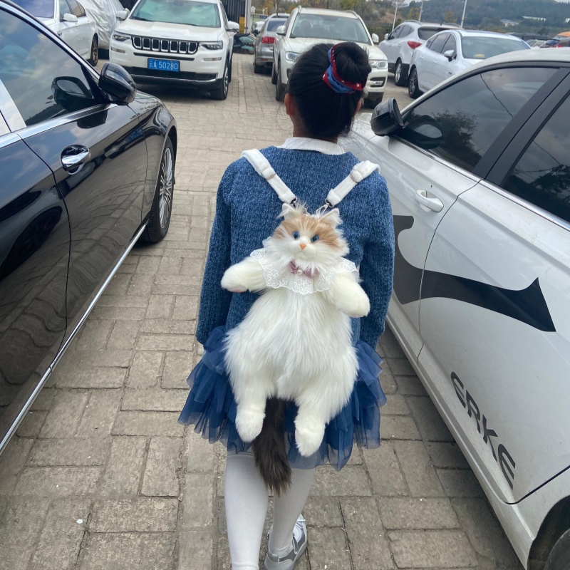 2026 New In Stock Ragdoll Cat  - Travel Accessories Ideas ulasan dan harga